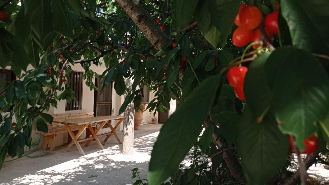 Villatzer - Traditional House With Fireplace And Garden * Tzermiadon